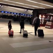 Daphne Palomo's photo