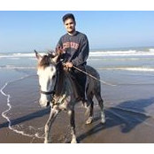 Arian Dastmalchis billede