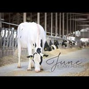 Tammy Balthaser Weaver's photo