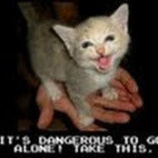 Amy Nemetz's photo