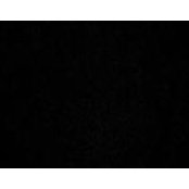 Roberto Monge's photo