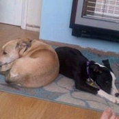 Foto von Linda Jackson
