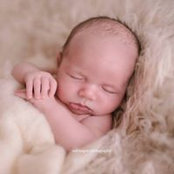 Kim Thompson's photo