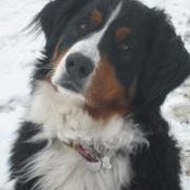 Cathy Smith's photo