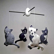 chrissy_goldstein's Ideas