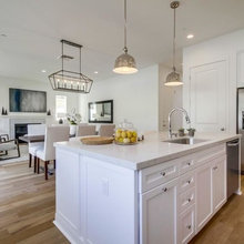Kitchen / Living / Dining