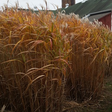 The DPG Studio Gardens, East Vincent Township