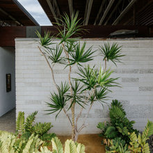Pool Landscape Ideas