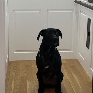 Doggie-vator