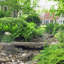 Our Front Yard