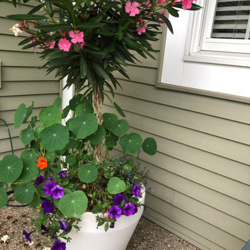 Outdoor Oasis: Patio Planters