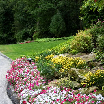 Entries & Driveways