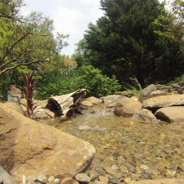Pond Renovation