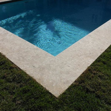 Caribbean Shell Stone