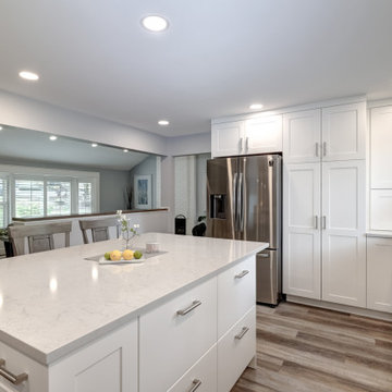 Kitchen and Downstairs Remodel