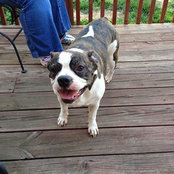 Melissa Landreth's photo