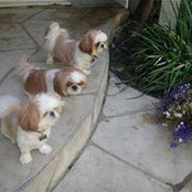 Elisabeth Haskell's photo