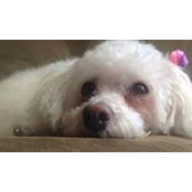 Jean Sherburne's photo
