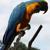 Rita Clark's photo