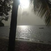 Bre Bachmann's photo