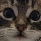 Colleen Keller's photo