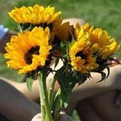 Kathy Poulin's photo