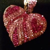 Patricia Eckert-Ament's photo