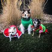 Mary Hunt's photo