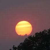 Anne Bennett's photo