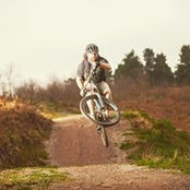 Tom Mitchell's photo