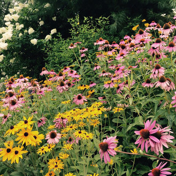 Landscaping in Minneapolis