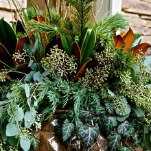Winter Containers