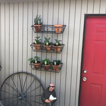 Herb Wall