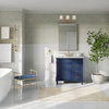 Joyce Bathroom Vanity, Single Sink, 36", Blue, Freestanding