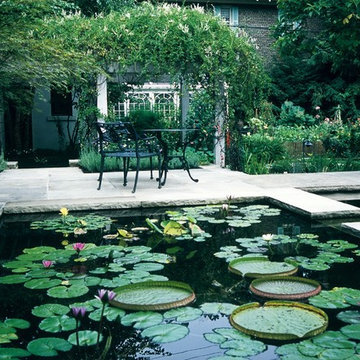 Mediterranean Garden