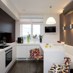 Contemporary Kitchen Cabinets - Products