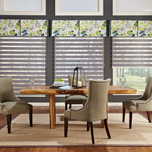 Window blinds/curtains