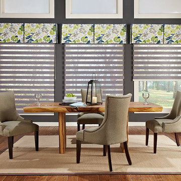 Allure Transitional Shades
