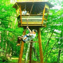 for mom's treehouse