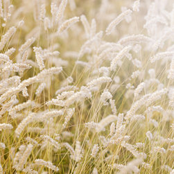 Lay in the Hay - Wallpaper