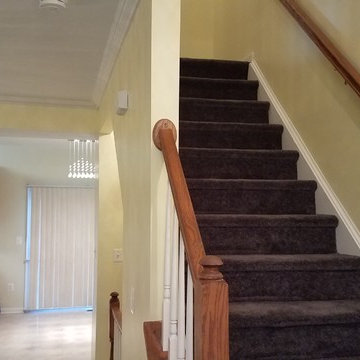 Flood Renovation