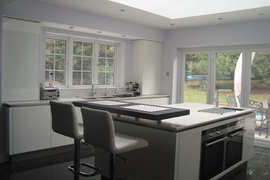 This is an example of a contemporary kitchen in Other.