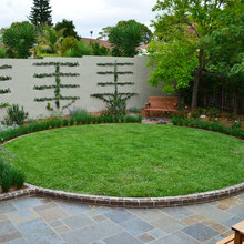 back yard
