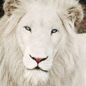 Renee Snow's photo