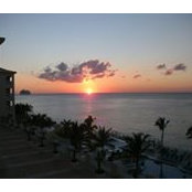 Annette Lombardo's photo