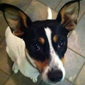 Kathy McGrath's photo