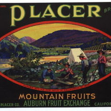 Vintage Labels