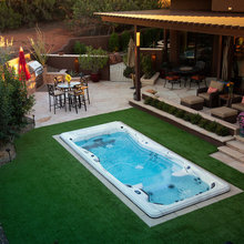 Swim Spa