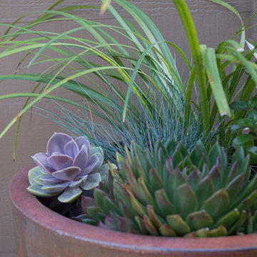 Leucadia Coastal Design & Installation