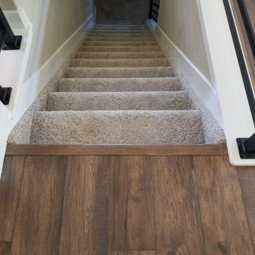 Project Canyon Vista